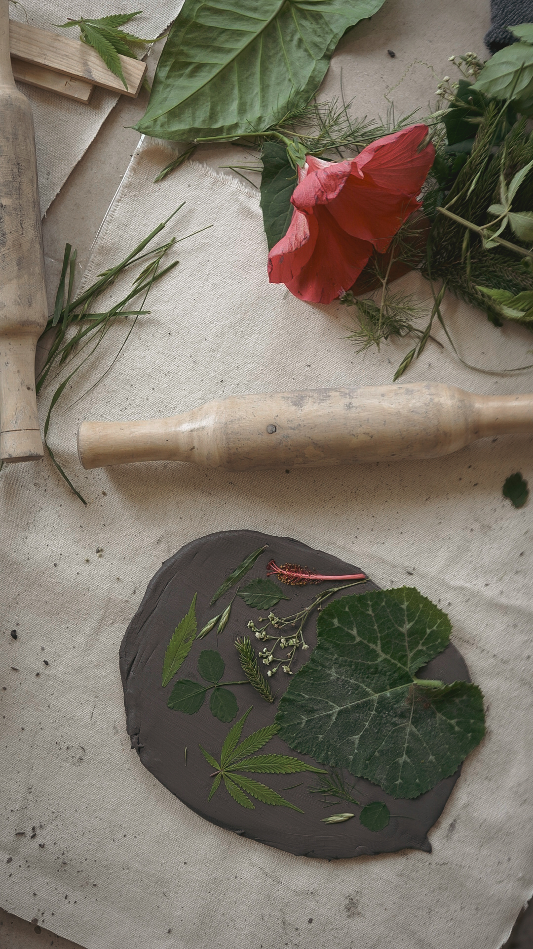 Botanical leaves and flowers arranged on a clay slab for imprinting